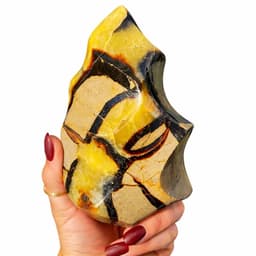 S4H® Septarie Vlam 700–800 g – Gepolijste Natuurlijke Edelsteen – Septarian Flame – Aarding, Balans & Innerlijke Kracht – Uniek Decoratiestuk 4