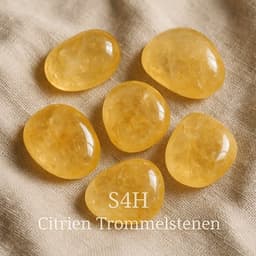 S4H Getuimelde Citrien edelstenen 50 gram