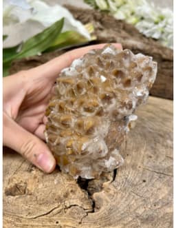 Calciet dogtooth ruw nr.571 2