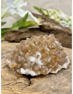 Calciet dogtooth ruw nr.571 4