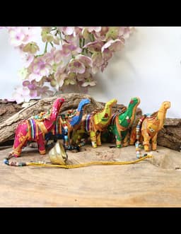 Olifanten streng - koord 4