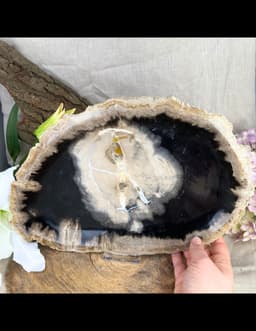 Versteend houten bord nr.06 2