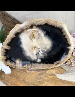 Versteend houten bord nr.06 4