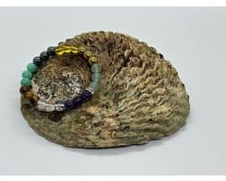 S4H chakra Edelstenen armband 8 mm kralen / size 18 cm
