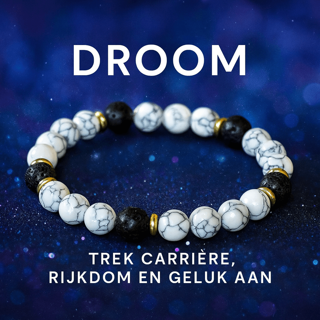 š S4H Droom Armband ā Trek carriĆØre, rijkdom en geluk aan
