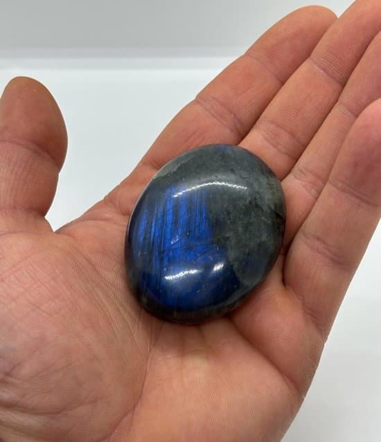 S4H LABRADORIET STRESS HANDKNIJPBAL